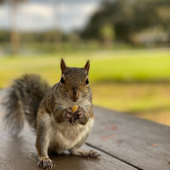 Meet your Posher, David - Picture 1 of 1